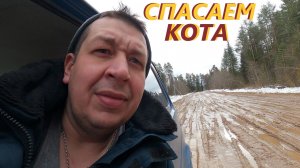 СПАСАЕМ КОТА#СВОБОДУ ПТИЦАМ#ДЕРЕВЕНСКИЕ БУДНИ 91#деревня