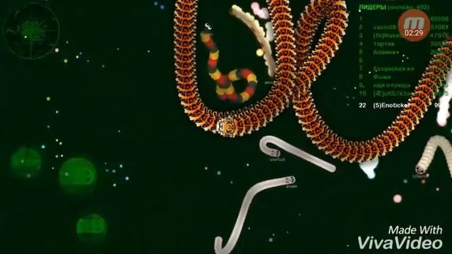 Играем в вормакс ио набрали *32 000* Массы смотреть онлайн