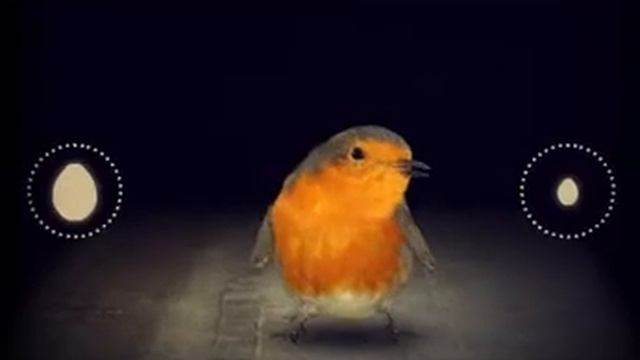 Бешеная игра!Митоза! смотреть онлайн