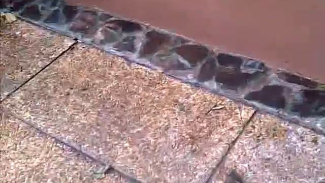 DMCI - Tivoli Garden Residences Construction Defects смотреть онлайн