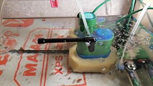 ОЧЕНЬ МНОГО мальков жемчужного гурами🙉