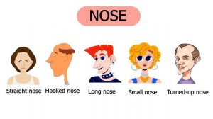 Describing People's Look in English l vocabulary for beginners l listen and practice