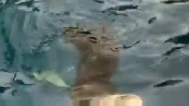 14 Клей смотреть онлайн