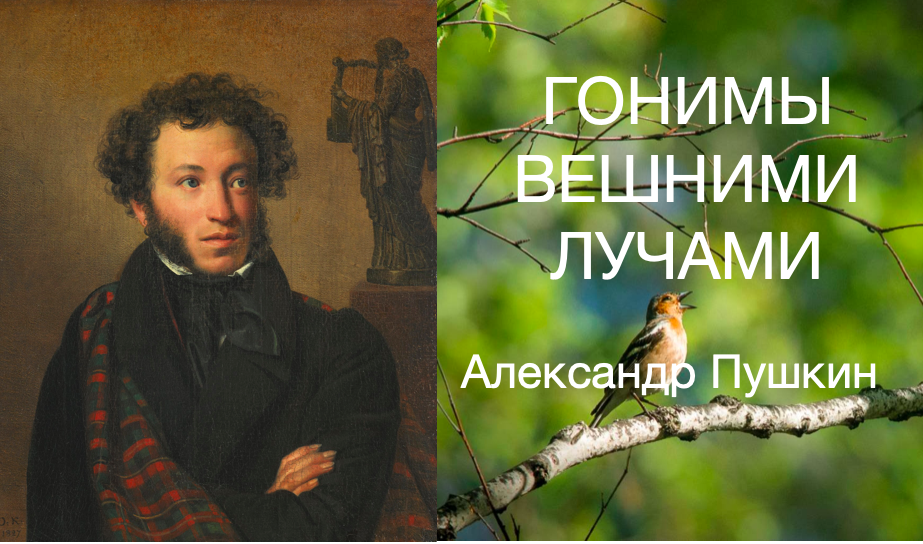 Гонимы вешними лучами слушать. Гонимы вешними лучами Пушкин презентация. Стих гонимы вешними лучами Пушкин.