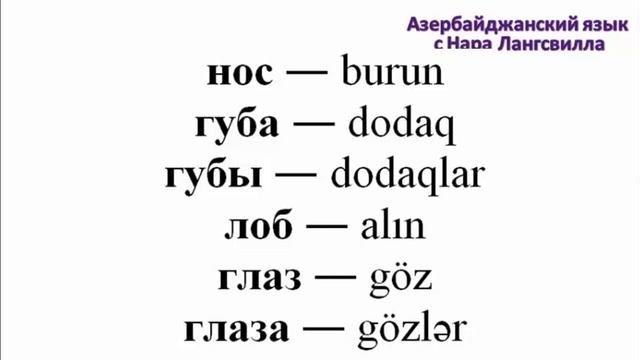 Азербайджанский язык / Azərbaycan dili/ Лицо и волосы/ Üz və saçlar/ Словарь/ Lüğət смотреть онлайн
