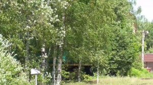 "Старичок в работе!"Тепловоз ТЭМ1 - 0487 маневрирует по подъездному пути от ст."Шувалово"