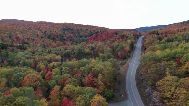 ,,Дорога" Автор Камбурьян Аркадий (Стихи) смотреть онлайн