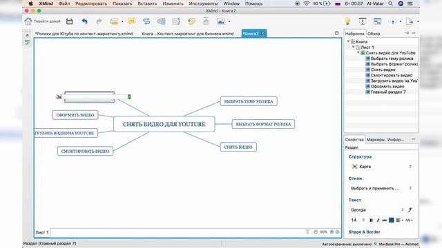 УПРАВЛЕНИЕ ПРОЕКТАМИ В XMIND | Программа для проджект менеджера? Видеоурок