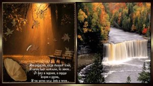 Осень  опавшие листья