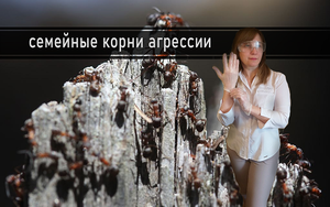 КАК СЕМЬЯ ФОРМИРУЕТ АГРЕССИЮ