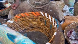 KASIMEDU ? SPEED SELVAM | WHITE KODUVA FISH CUTTING | IN KASIMEDU | HD VIDEO | FF CUTTING ?