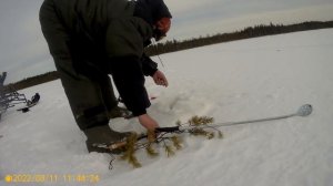 Мотобуксировщик-Рыбалка с Федоровичем-2