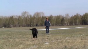 ОКД Бобряков С. и Старкен Гейст Виц