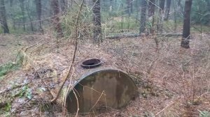 Скотомогильник в лесу.Захоронение сдохшей скотины ждущий утилизации.