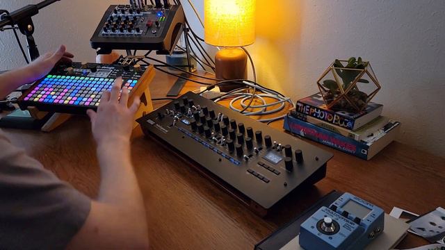 Random Elevation // Minilogue XD & Deluge смотреть онлайн