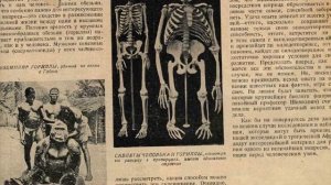 ГИБРИДЫ ЖИВОТНЫХ И ЛЮДЕЙ, КОТОРЫЕ РЕАЛЬНО СУЩЕСТВУЮТ!