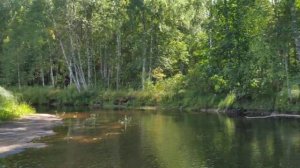 Сплав по реке Кобожа из озера Великое