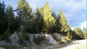 Не жалею, не зову, не плачу