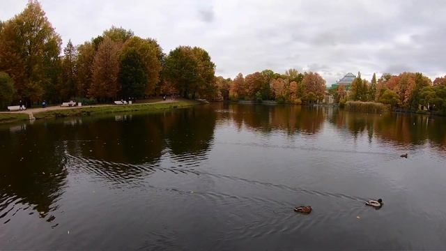 Куда сходить в СПБ осенью? В Таврический сад. Парки Питера.