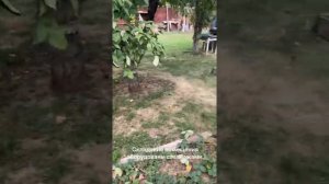 Продаётся дом в Энгельсе