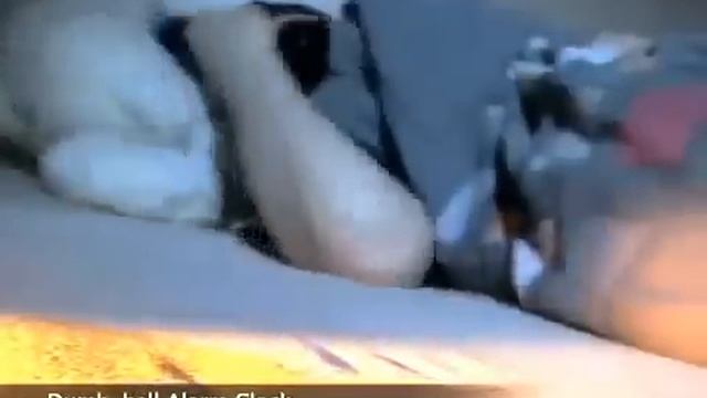 Будильник гантель смотреть онлайн