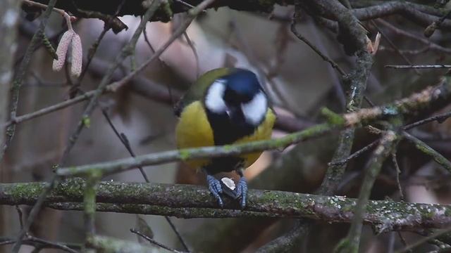 Укромное место смотреть онлайн