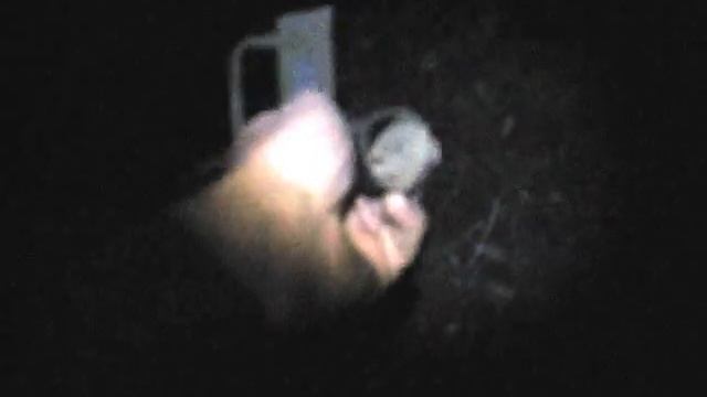 Дом в глуши .Ночные страшилки .. смотреть онлайн