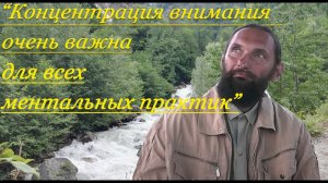 Концентрация внимания супер важна: как тренировать