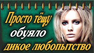 Тёща задала нужные вопросы.mp4