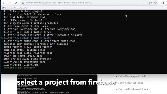 Flutterfire Configure on Windows Flutter App