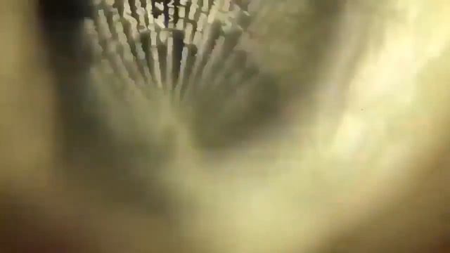 Отзыв. Кулон на 100 языках мира - такое в итоге пришло! Подарок на 14 февраля! смотреть онлайн