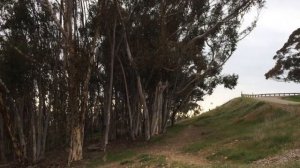 Вентура, Калифорния. Ventura (California) 2020.