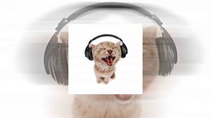 Ayesha Erotica - Hey Brendon / Slowed down