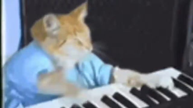 этот стрим был 2011 году.... день-1 смотреть онлайн