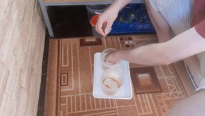 Уход за нематодой
