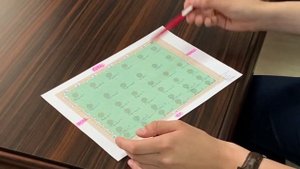 Правильное расположение плодовых культур на участке