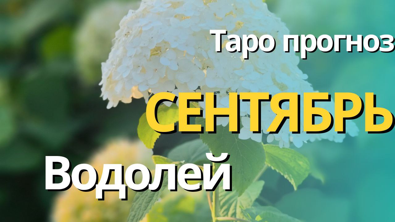 ВОДОЛЕЙ СЕНТЯБРЬ 2023 [Таро прогноз]