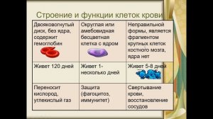 Биология. Раздел анатомия человека. Кровь как ткань. Людмила Ивановна. Profi-Teacher.ru