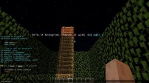 Плагин на летающие надписи на сервере майнкрафт HolographicDisplays