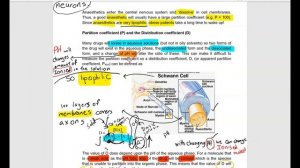 partition coefficient (P)(log p) and distributions coefficient (D)(logD)