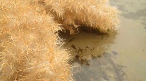 Инструментальная музыка слушать. Красивая музыка без слов. Instrumental music to listen to.