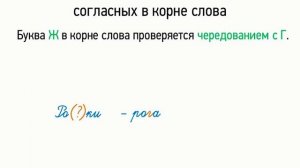 Правописание звонких и глухих согласных в корне слова (5 класс, видеоурок-презентация)