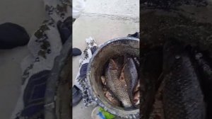 алтайский край,Егорьевское, озеро горькое,рыбалка