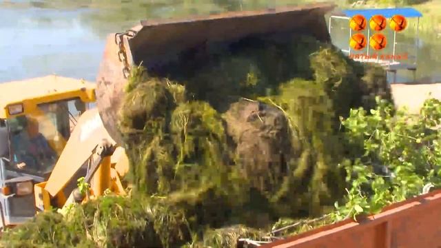 Голь на выдумку хитра смотреть онлайн