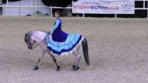 Башкирская порода лошадей на выставке #ИППОсфера 2018 #Лошади #БашкирскаяЛошадь