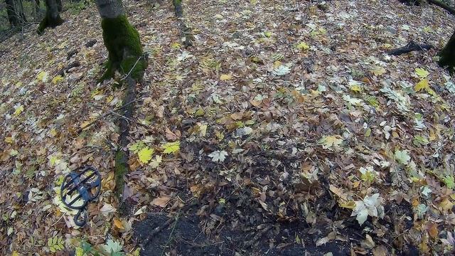 ТЕСТ НА ЗОЛОТО Минелаб СТХ 3030 смотреть онлайн