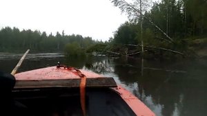 Макс мотор 15 л. Лодка мкм