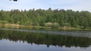 Весна на озере Плотина в Раменском