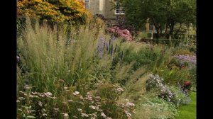 Когда нужен дизайнер по ландшафту?  Н. Дементьев.