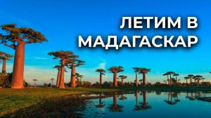 Летим в Мадагаскар | Начало нашего рыболовного приключения!